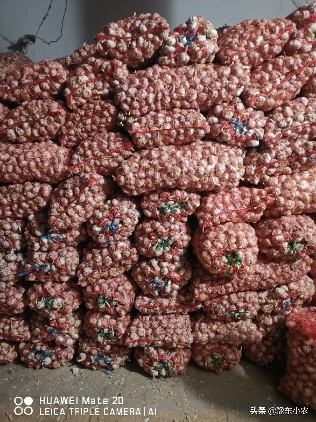 2019大蒜减产,2019年大蒜行情总结