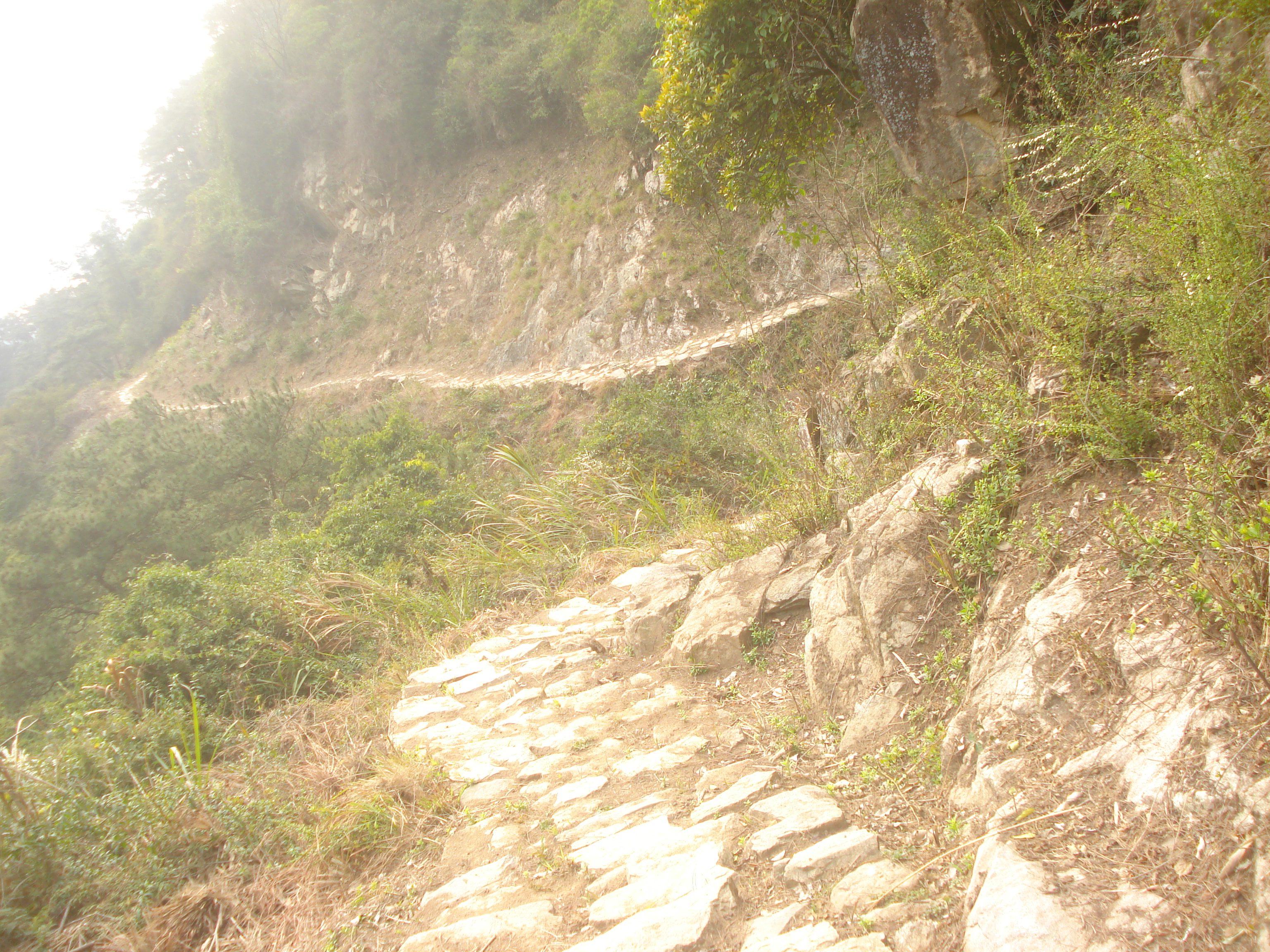 登云水库,登云湖水库