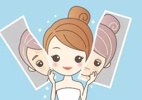 仙人掌有褐斑,仙人掌长褐斑