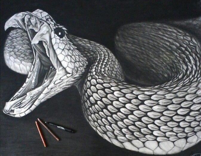 天生怕蛇注意什么,怕蛇的遇到蛇应该怎么办