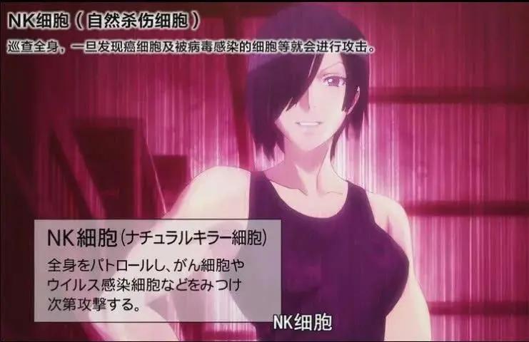 关于NK细胞你不知道的那些事儿,NK免疫疗法预防癌症