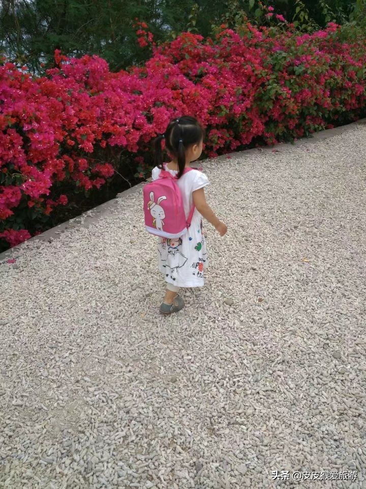 中国最年轻火山岛涠洲岛,中国最年轻的火山岛涠洲岛