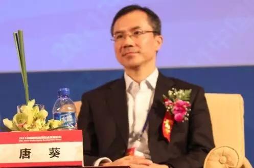 方源资本在国内投资多少,方源资本2020年投资