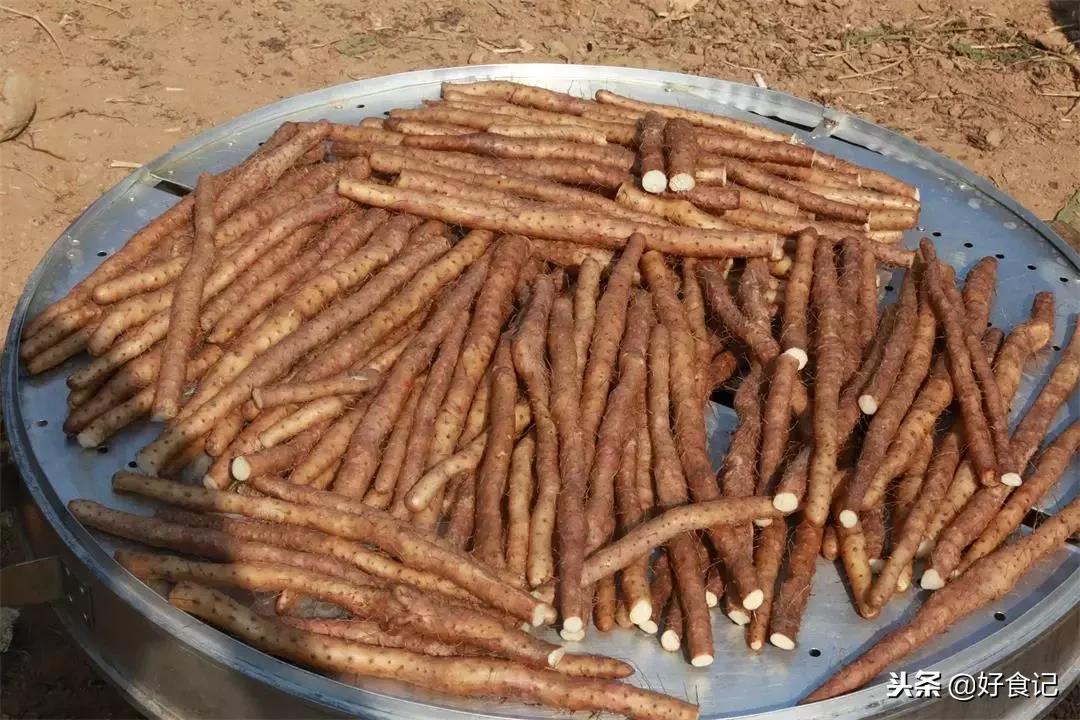 铁棍山药与普通山药哪种好吃,铁棍山药和小白嘴山药味道的区别