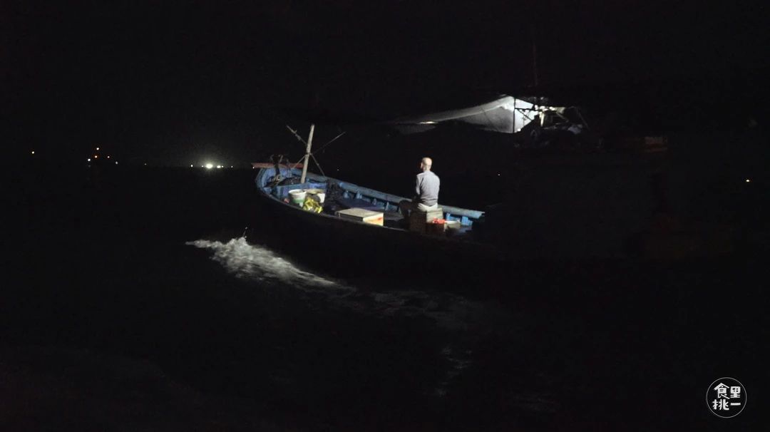 它叫宅鱿，但它和宅男宅女真的不熟！