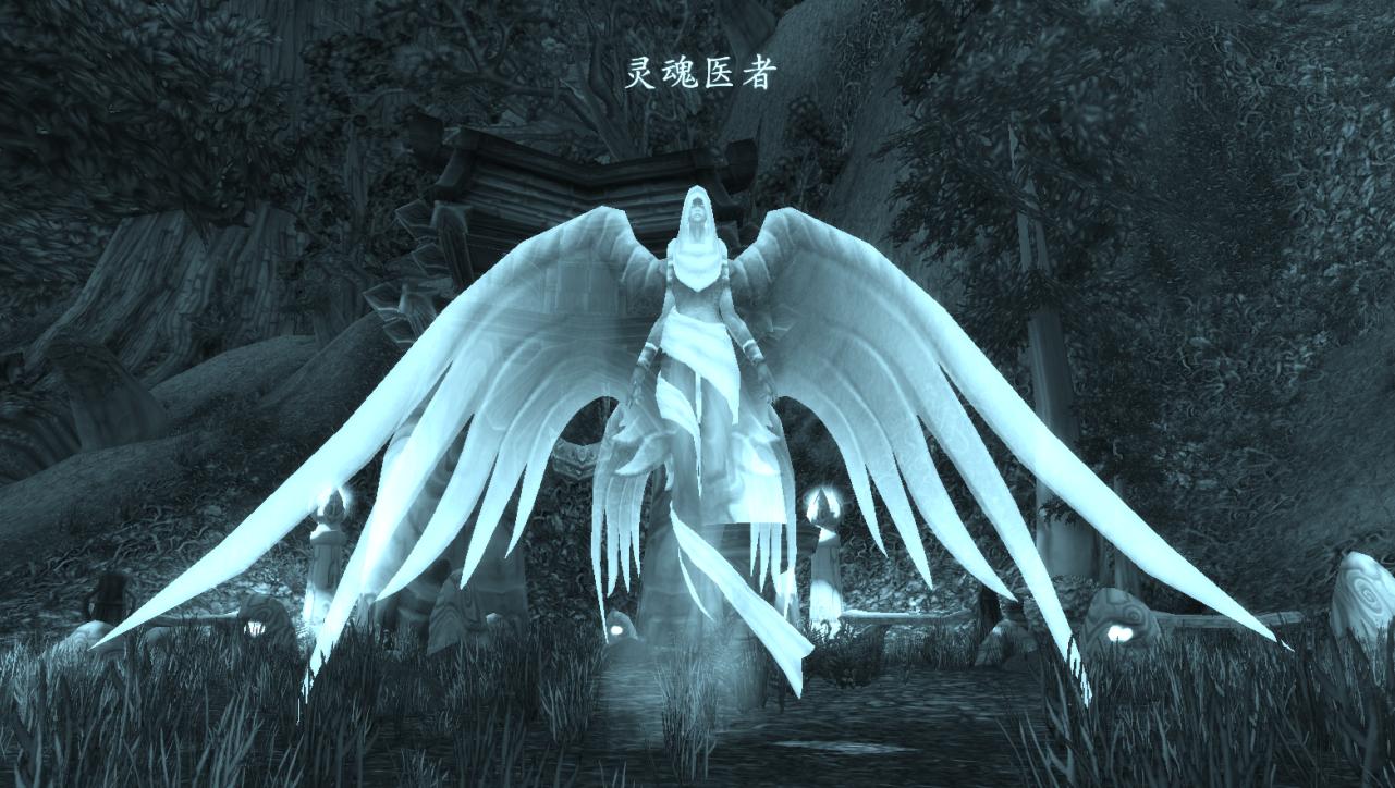 魔兽世界美人,魔兽世界最美的女人是谁