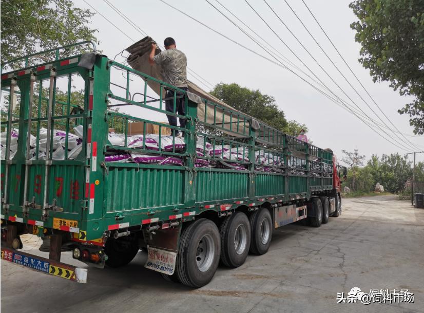 山东爱依特饲料有限公司,山东爱依特生物技术有限公司