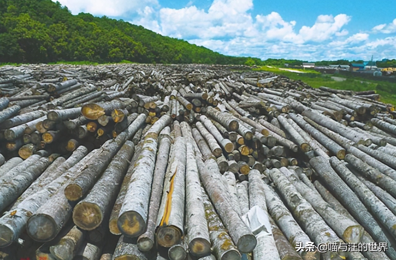 俄罗斯171平方公里土地,俄罗斯1700万国土面积