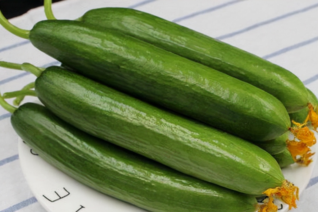 葫芦科蔬菜特点图,葫芦类蔬菜有哪些