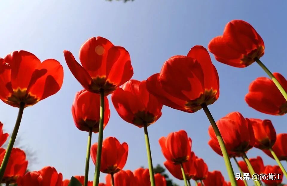 我在朝阳湖等你，带你看一路绿水青山