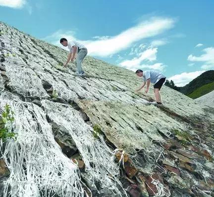 原来毛笔是这样做出来的,原来红木是这样做出来的