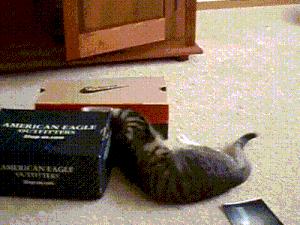 新粒子加速器比绿豆还小?在家都能做高能物理实验了!