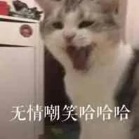 猫咪吃了蟑螂该给它吃什么药,猫咪每天给主人家门口送礼物