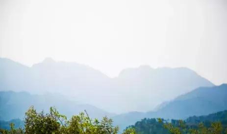 梧州江口网红打卡景点,梧州长洲岛网红打卡景点