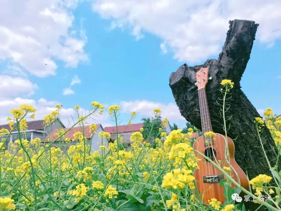 航拍最美临沭,临沭最美风景