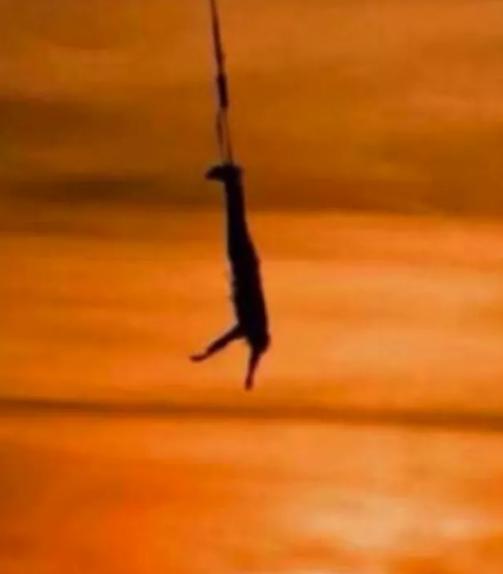 搞笑gif趣图妹子你别闹了,搞笑gif趣图妹子你这笑容太魔性了