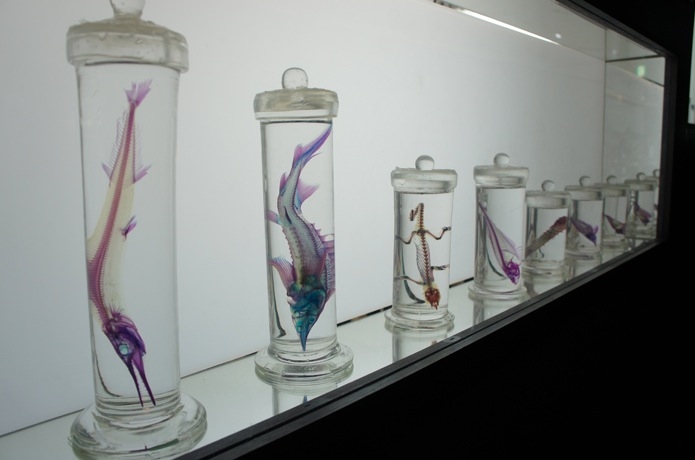 除甲醛方法真实测评,史上最靠谱除甲醛测评