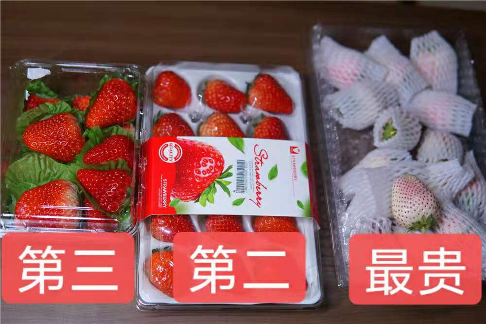如何在网上买到真草莓,怎么在网上买正宗丹东草莓