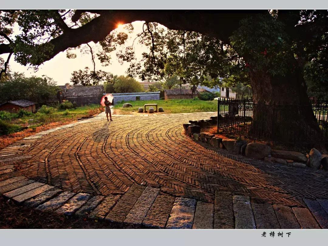 别再说安义没什么玩的了,有这一篇就够了!