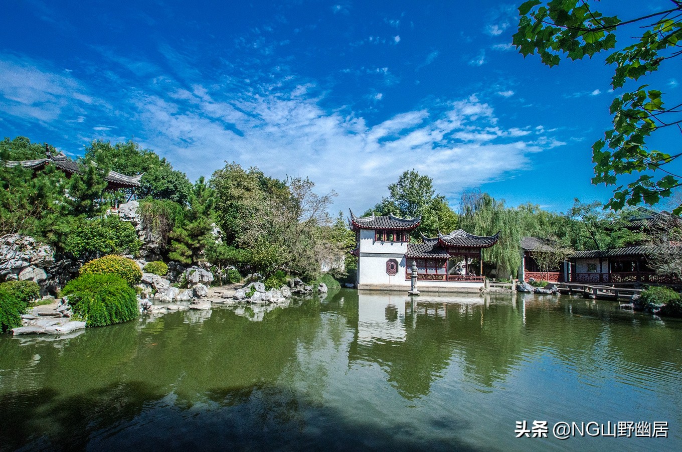 苏州珍珠塔全景图,苏州同里珍珠塔园林