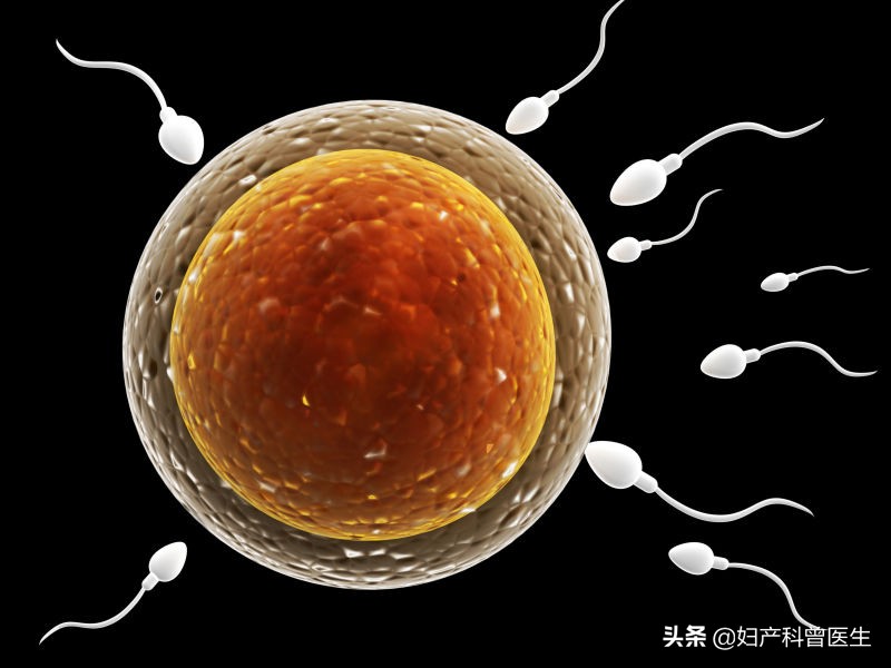 抓住排卵期放出的“信号”，助你快速受孕