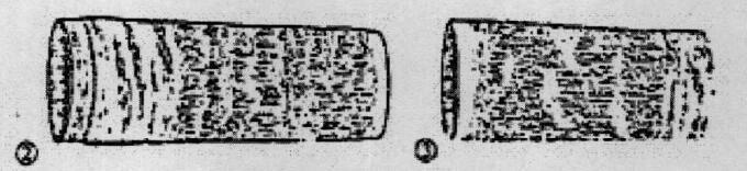 殷墟遗址出土了大方鼎,殷墟出土最多的两件文物
