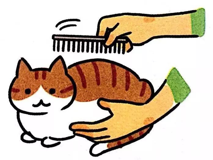 给猫梳毛能防止掉毛吗,给猫梳毛为什么猫会舒服