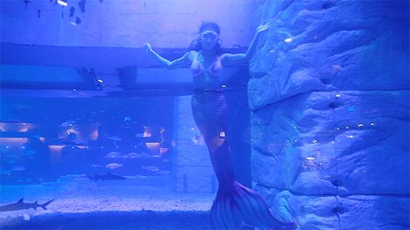 网红餐厅搞笑小品,网红餐厅表演视频