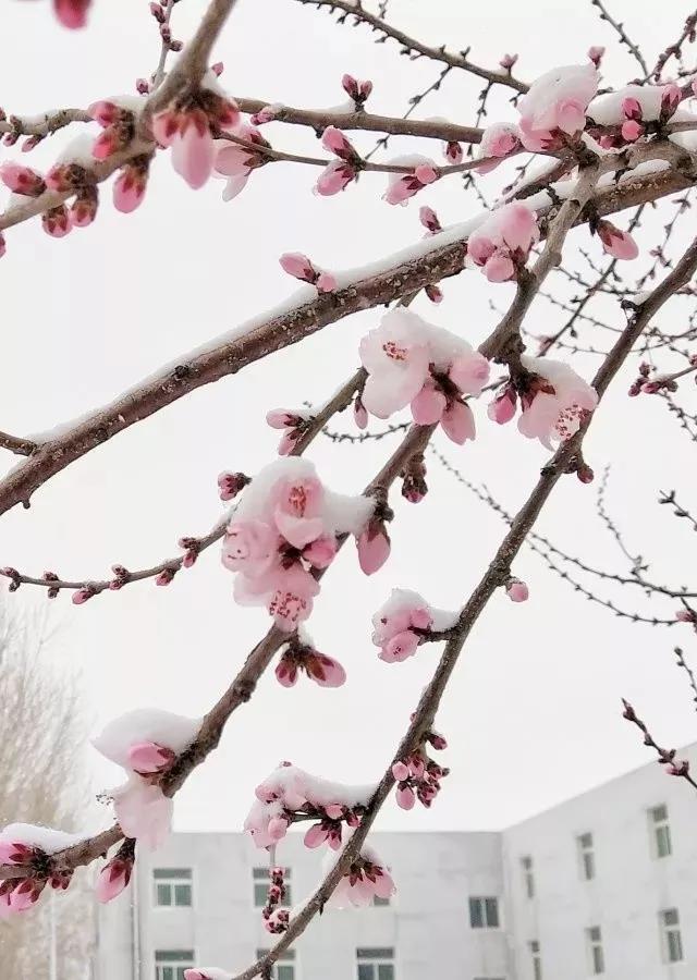 辽宁沈阳的医学大学,了解一下沈阳医学院