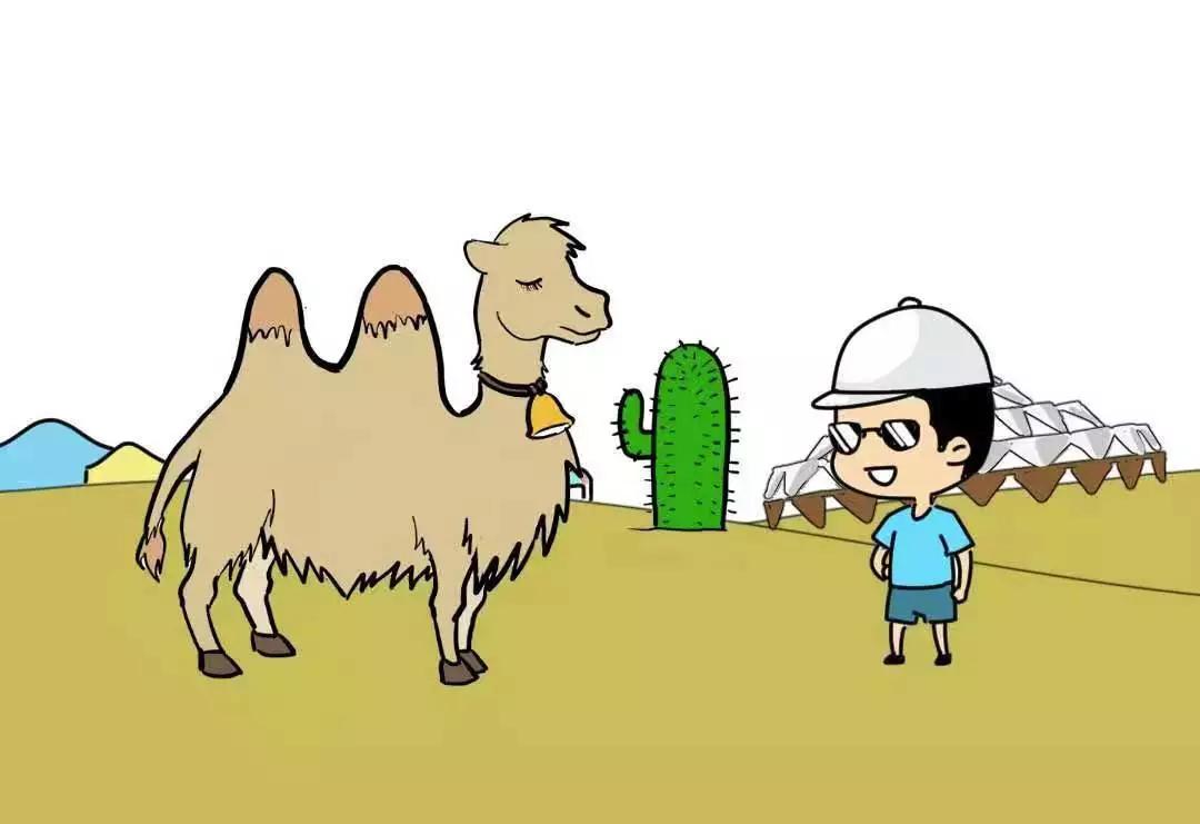 北京去崇礼滑雪有哪些攻略,去崇礼滑雪到哪个站下车