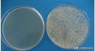 zpt洗发水危害,zpt去屑洗发水