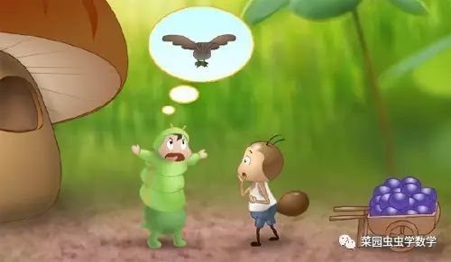 菜园种菜数学问题,菜地种菜数学问题