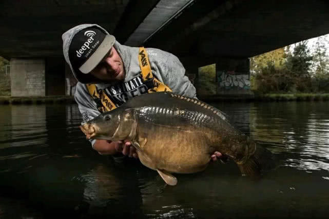 英国钓鲤鱼装备,欧洲钓鲤鱼的方法