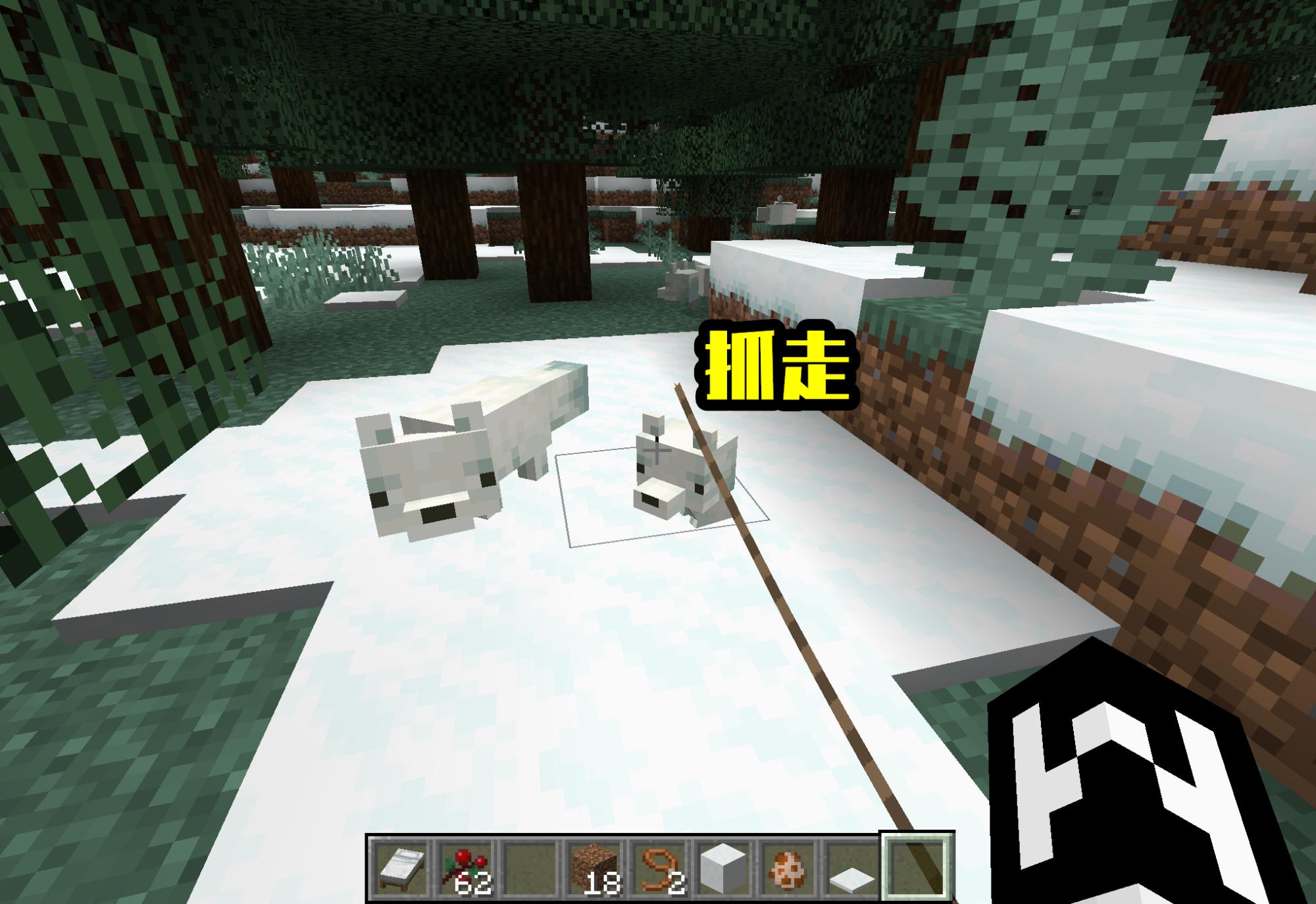 怎样在MC驯服更多动物,在mc里面怎么驯养动物