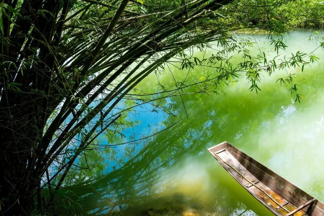 古诗词里带有夏天韵味的名字,诗词里绝美的夏天