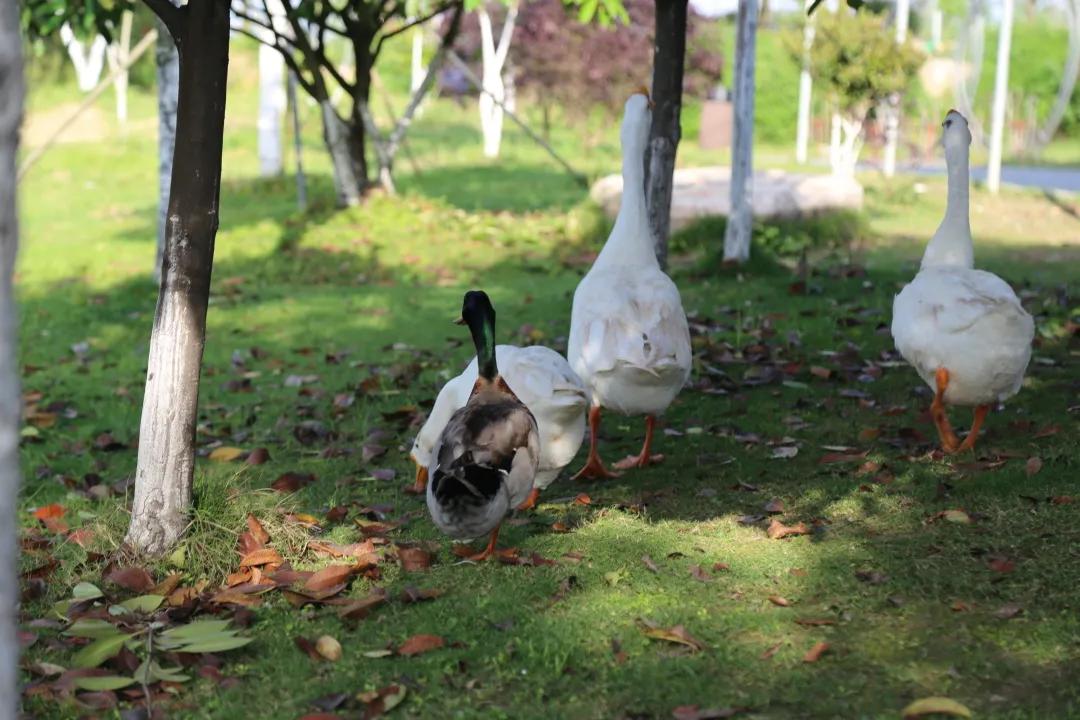 汉川5天周边游攻略,汉川徒步旅游攻略一日游