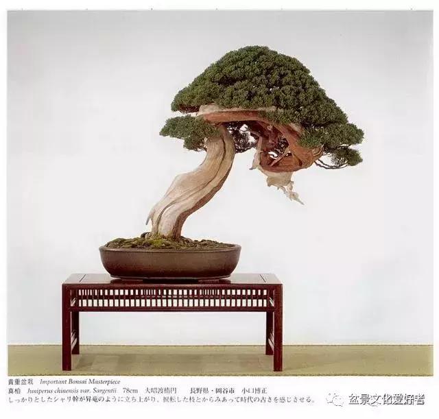 他山之石可以攻玉诗句,他山之石可以攻玉的作品