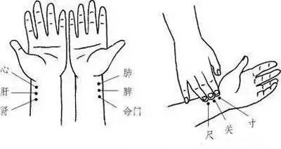 如何自学中医脉诊入门,如何学习中医诊脉