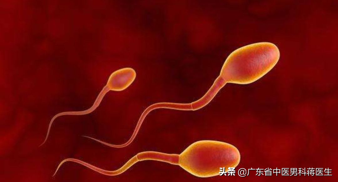 精子带血原因吃什么药,精子带血是怎么治