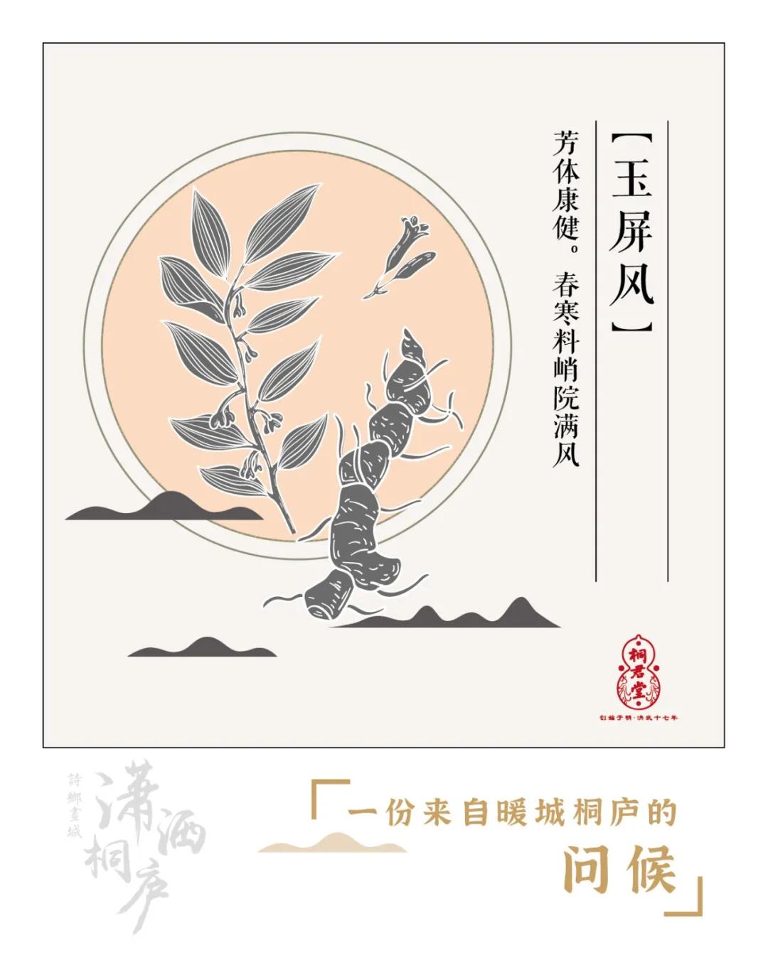 桐君养生包,桐君仁医中药包