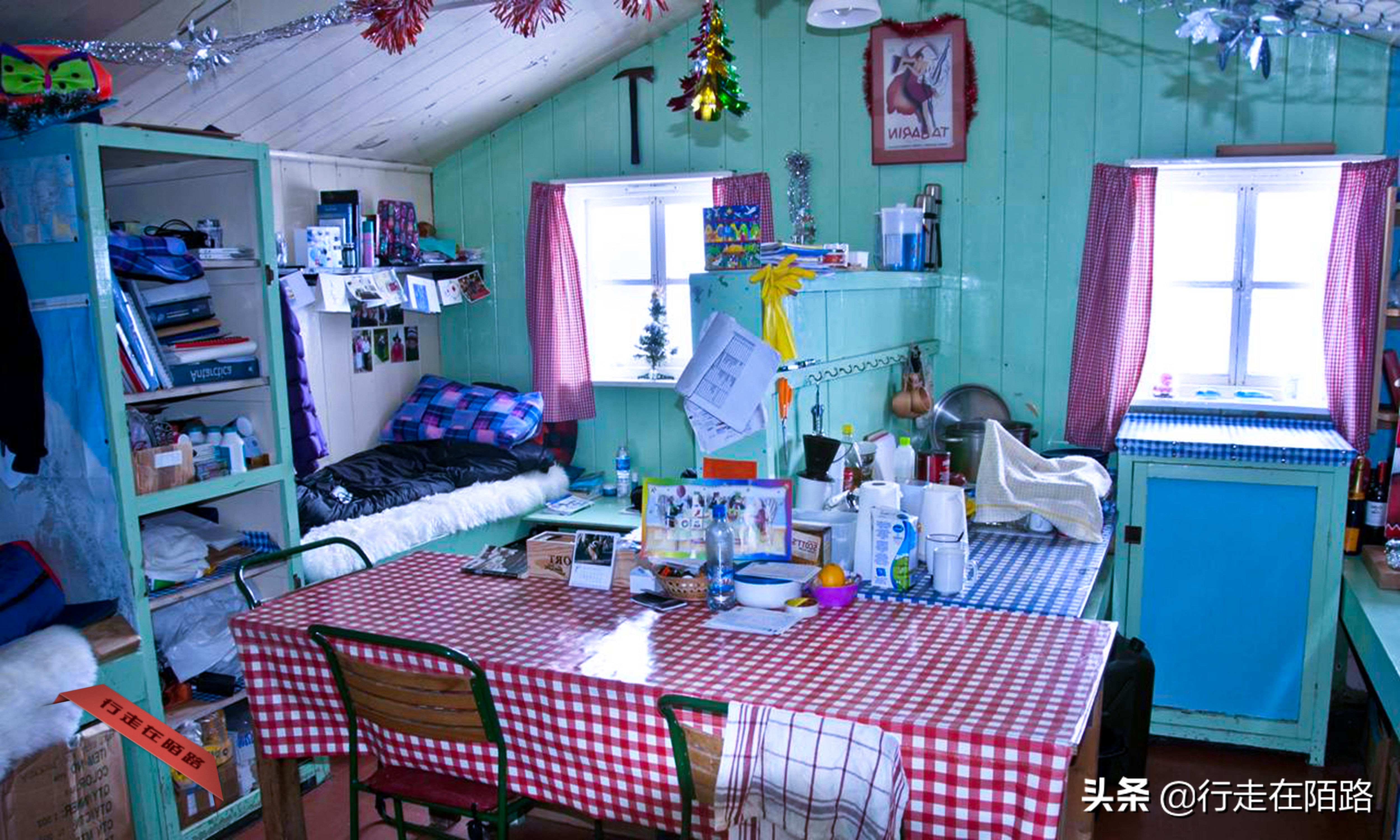 铲屎官的工资,铲屎官工资一天多少钱