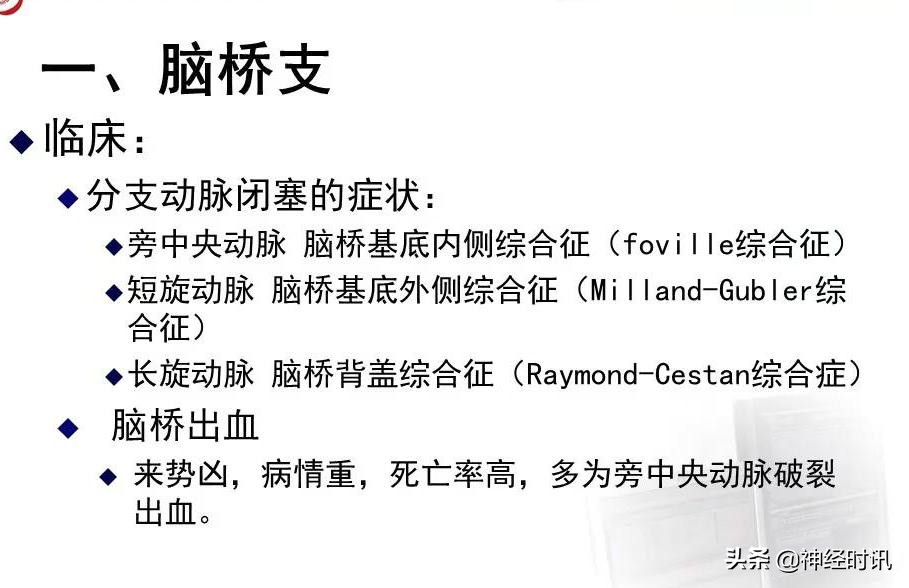 脑动脉解剖学讲解,基底节区脑血管解剖