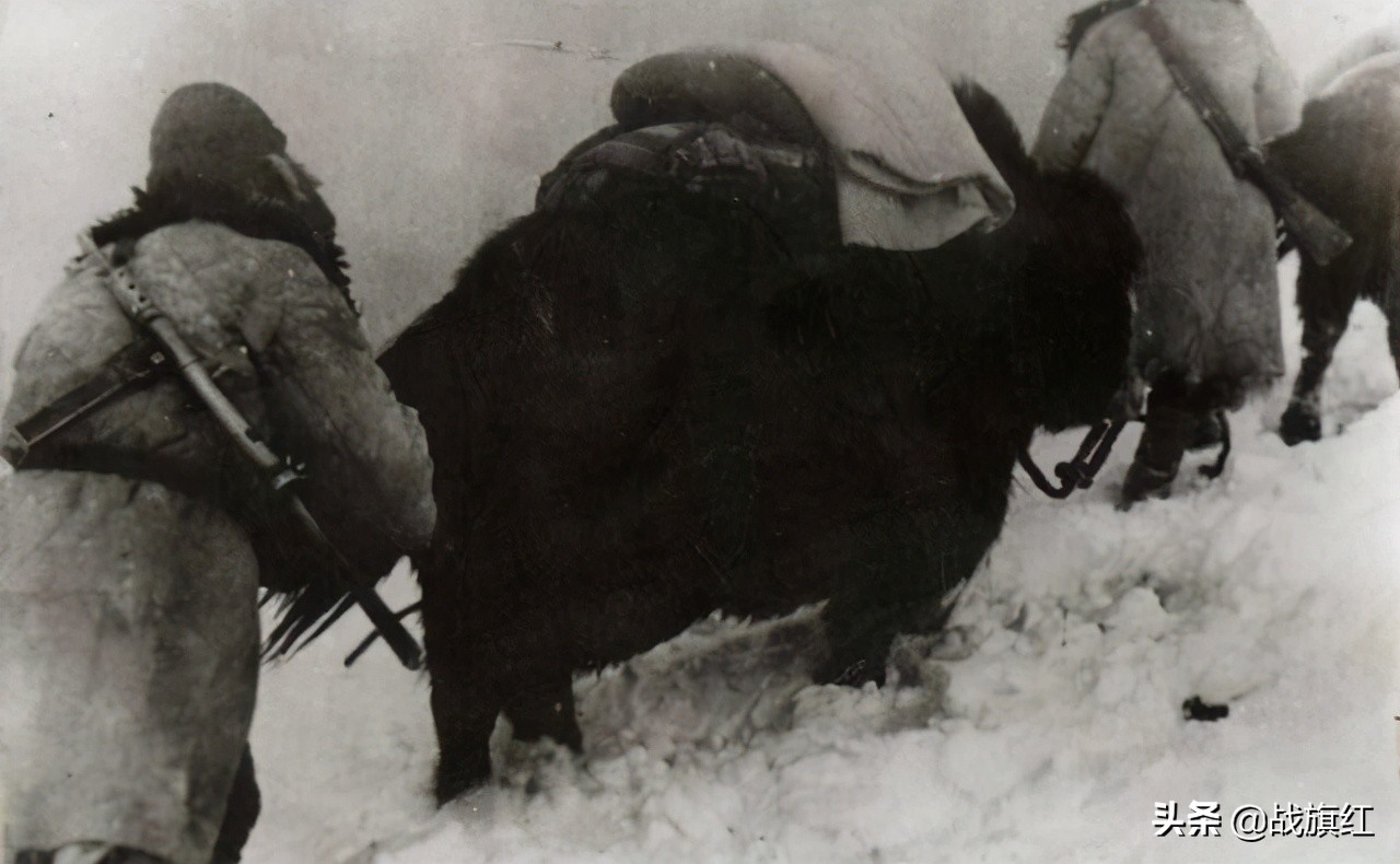 进藏先遣连副连长,进藏先遣连指导员牺牲后续