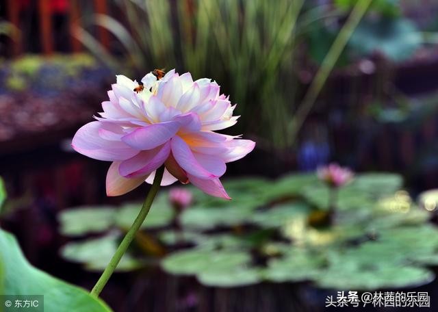 带有水字的诗词句,有水字打头的诗句