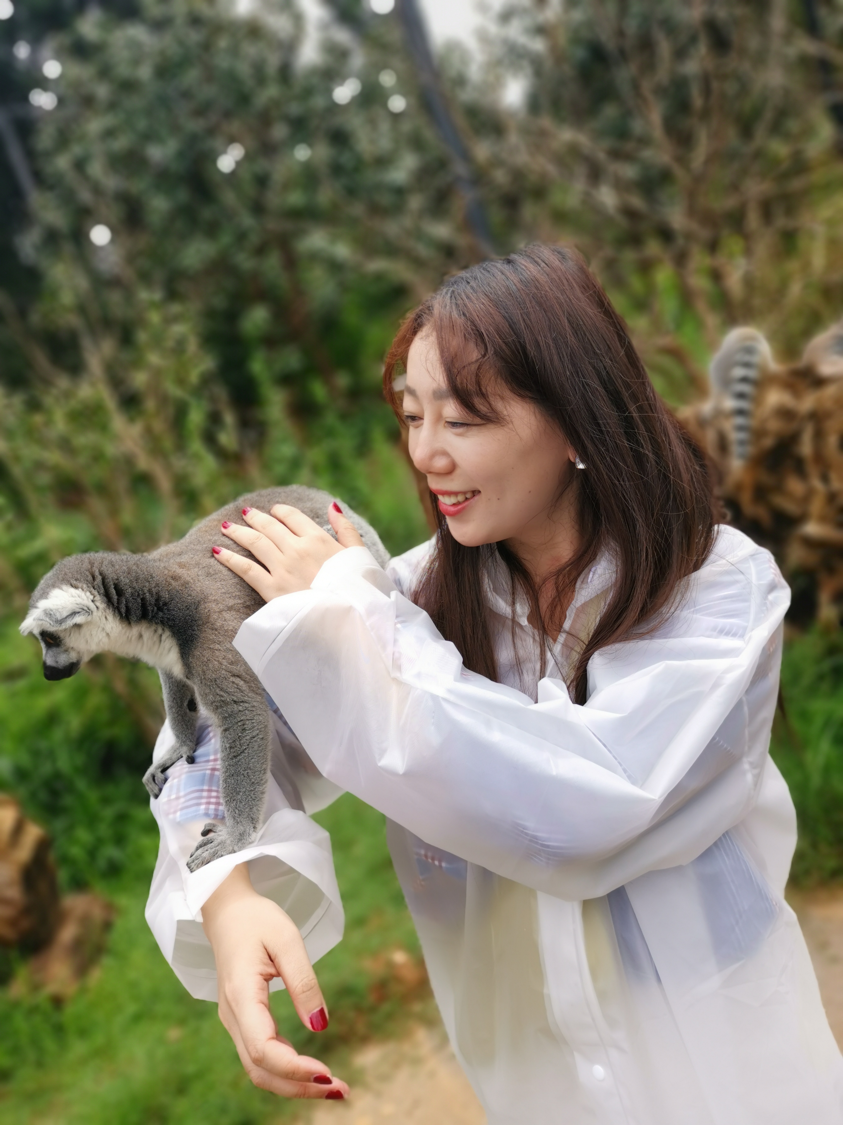 云南野生动物园免票吗,云南野生动物园有什么好玩的