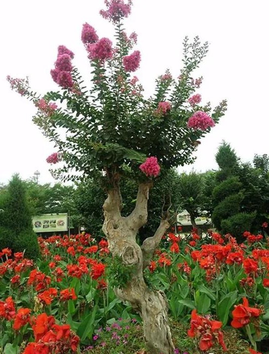 鄢陵花博园周边游,鄢陵自驾游旅游攻略