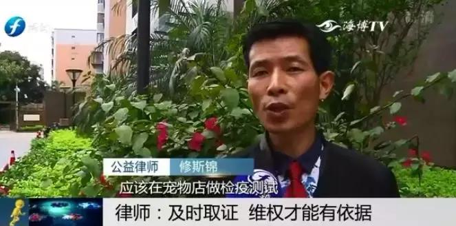 宠物狗买回来过几天病死怎么维权,厦门宠物店