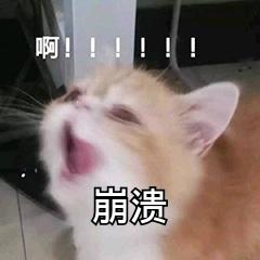 镜柜种类多，找不到心仪的？超全攻略拿走不谢！