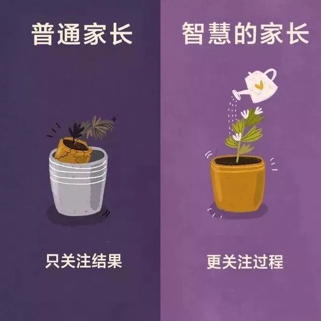 普通家长vs智慧家长合集视频,智慧家长普通家长