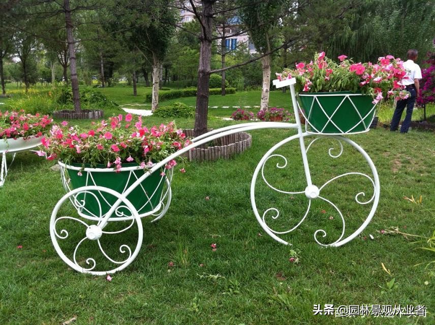 校园绿化思路,校园绿化设计方法